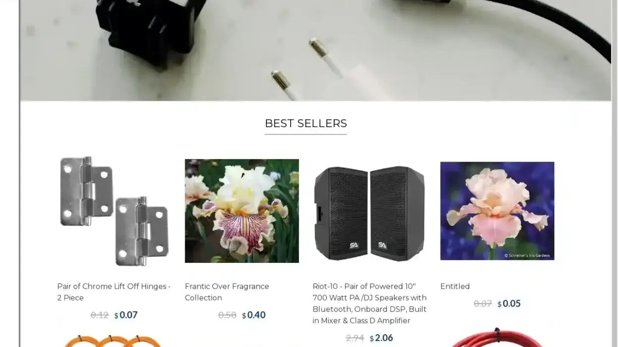 Screenshot of Non-Delivery scam website Dorenowned.shop
