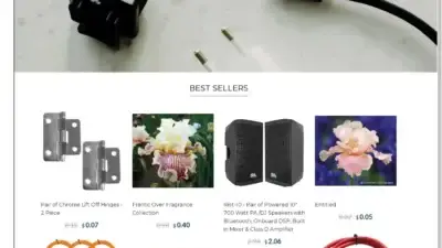 Screenshot of Non-Delivery scam website Dorenowned.shop