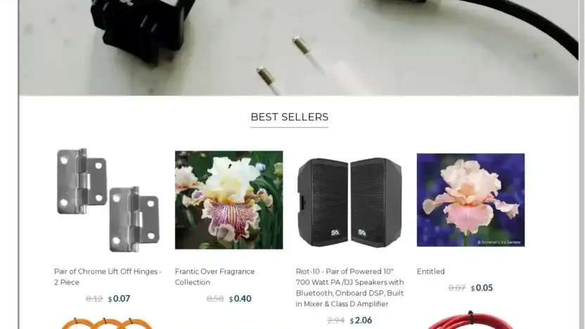 Screenshot of Non-Delivery scam website Dorenowned.shop