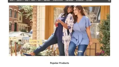 Screenshot of Non-Delivery scam website Dreifussn.com