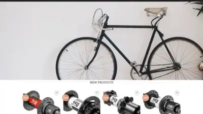 Screenshot of Sport scam website Dt-swissbike.com