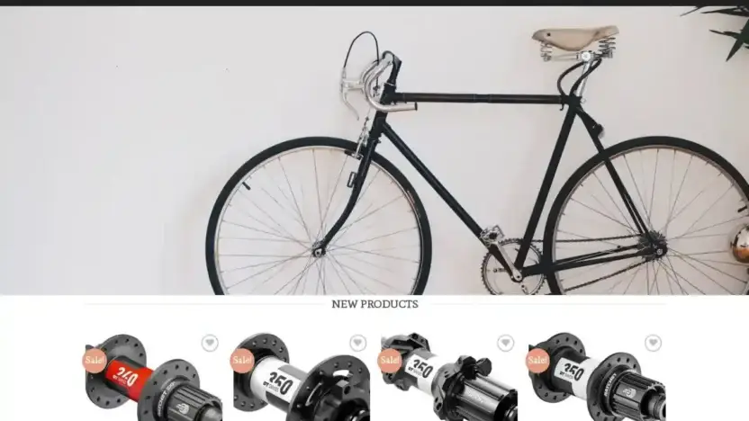 Screenshot of Sport scam website Dt-swissbike.com