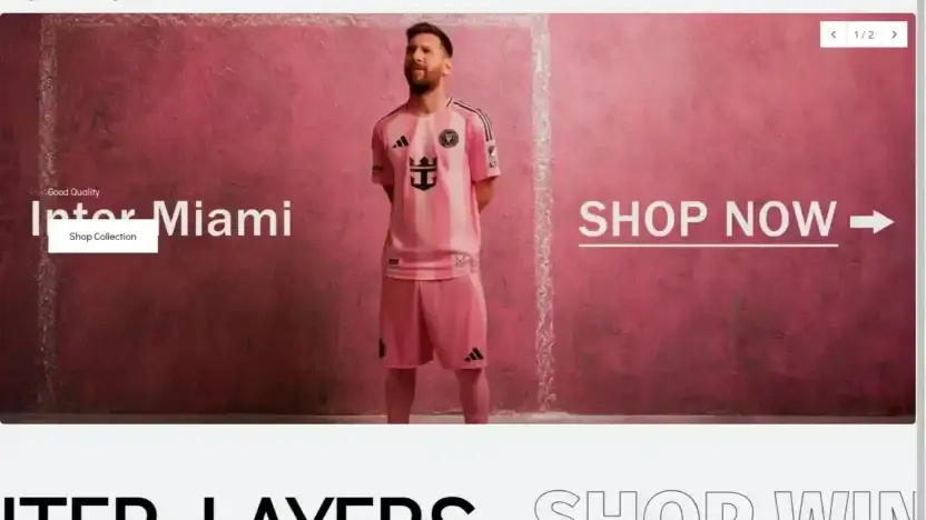 Screenshot of Non-Delivery scam website Dynamic888.com