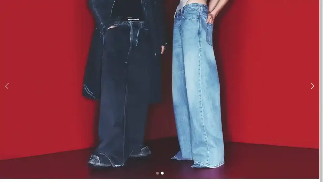 Screenshot of Non-Delivery scam website Dzl-nl.shop