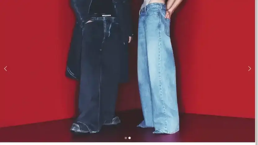 Screenshot of Non-Delivery scam website Dzl-nl.shop