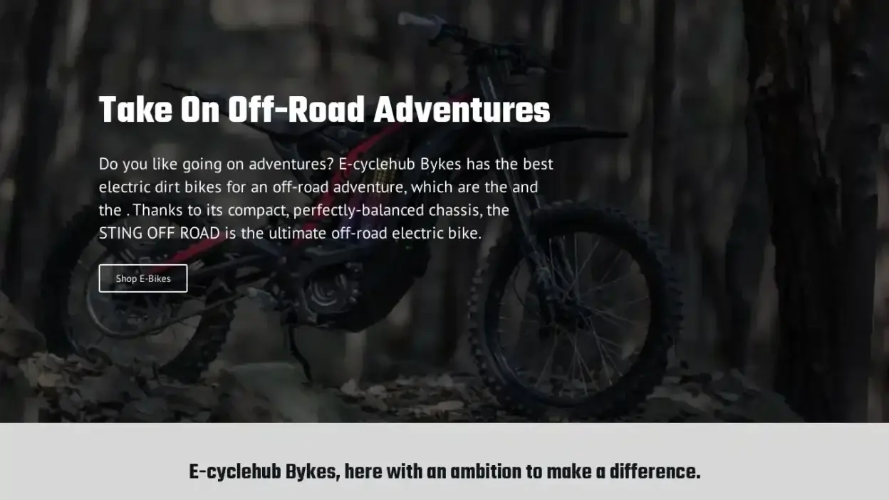 Screenshot of Non-Delivery scam website E-cyclehub.com