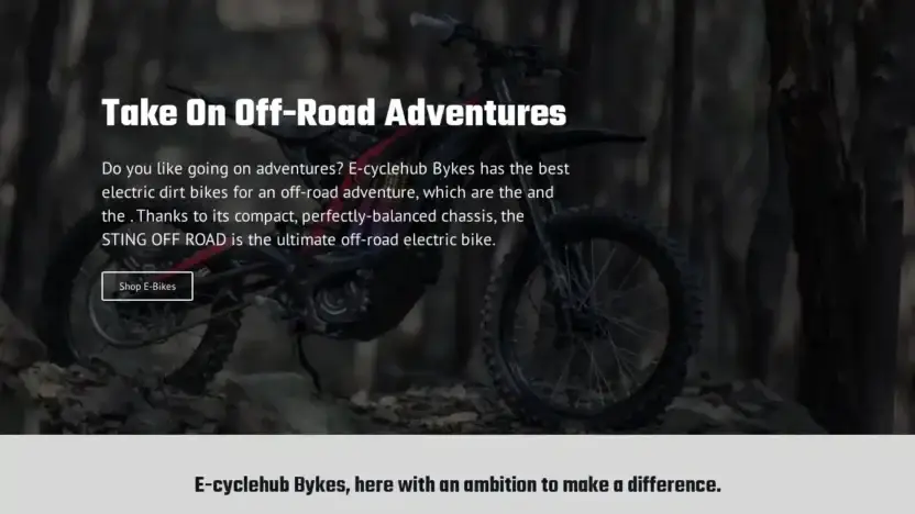 Screenshot of Non-Delivery scam website E-cyclehub.com