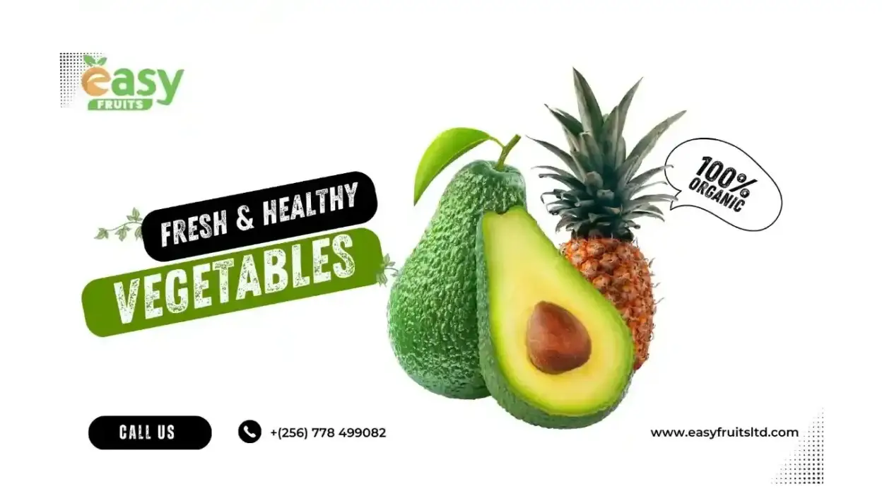 Screenshot of Non-Delivery scam website Easyfruitsltd.com