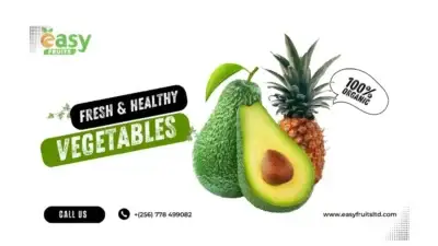 Screenshot of Non-Delivery scam website Easyfruitsltd.com