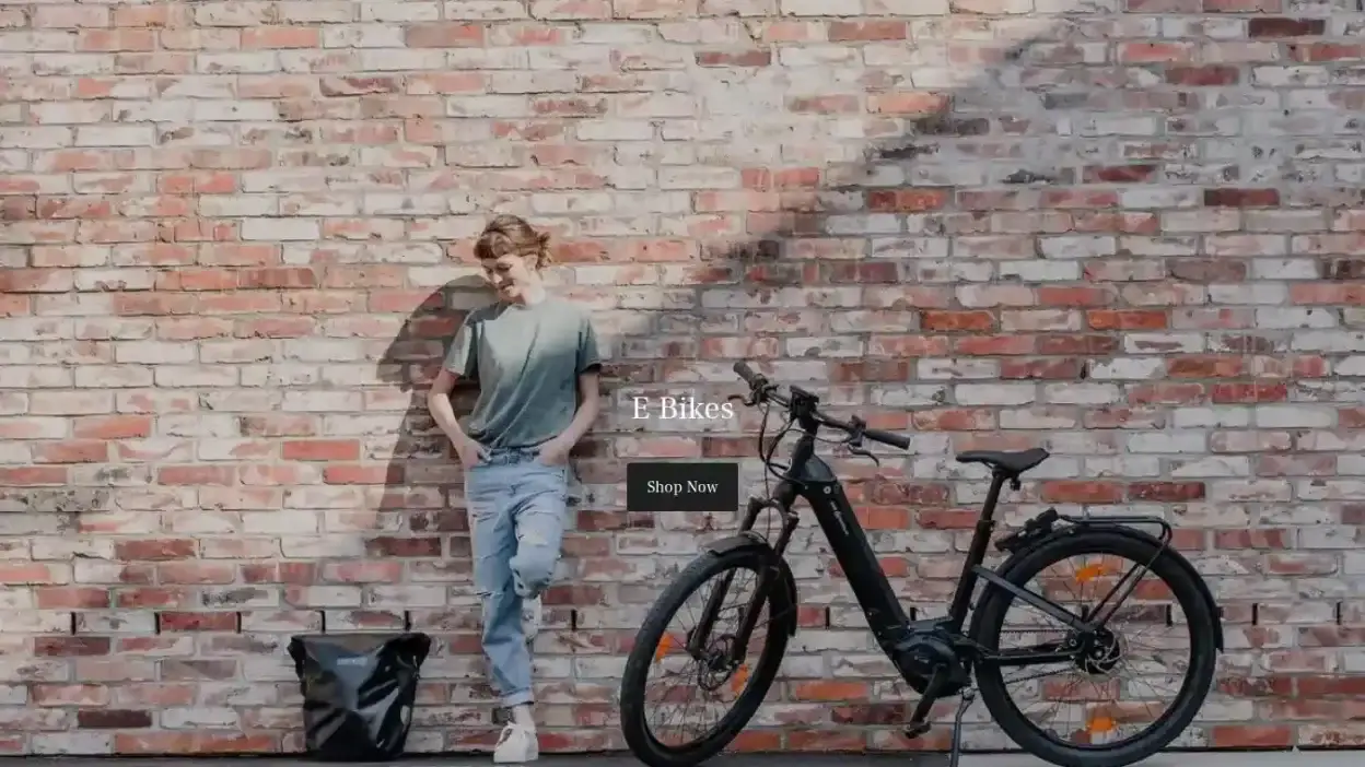 Screenshot of Non-Delivery scam website Ebikemail.com