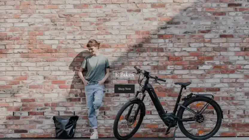 Screenshot of Non-Delivery scam website Ebikemail.com