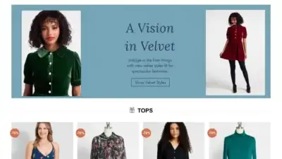 Screenshot of Non-Delivery scam website Ecn195.com
