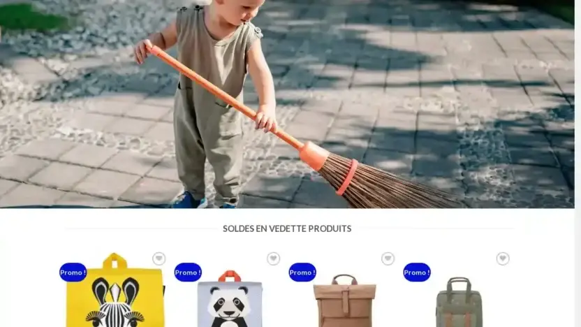 Screenshot of Non-Delivery scam website Ecolochicbebe.com