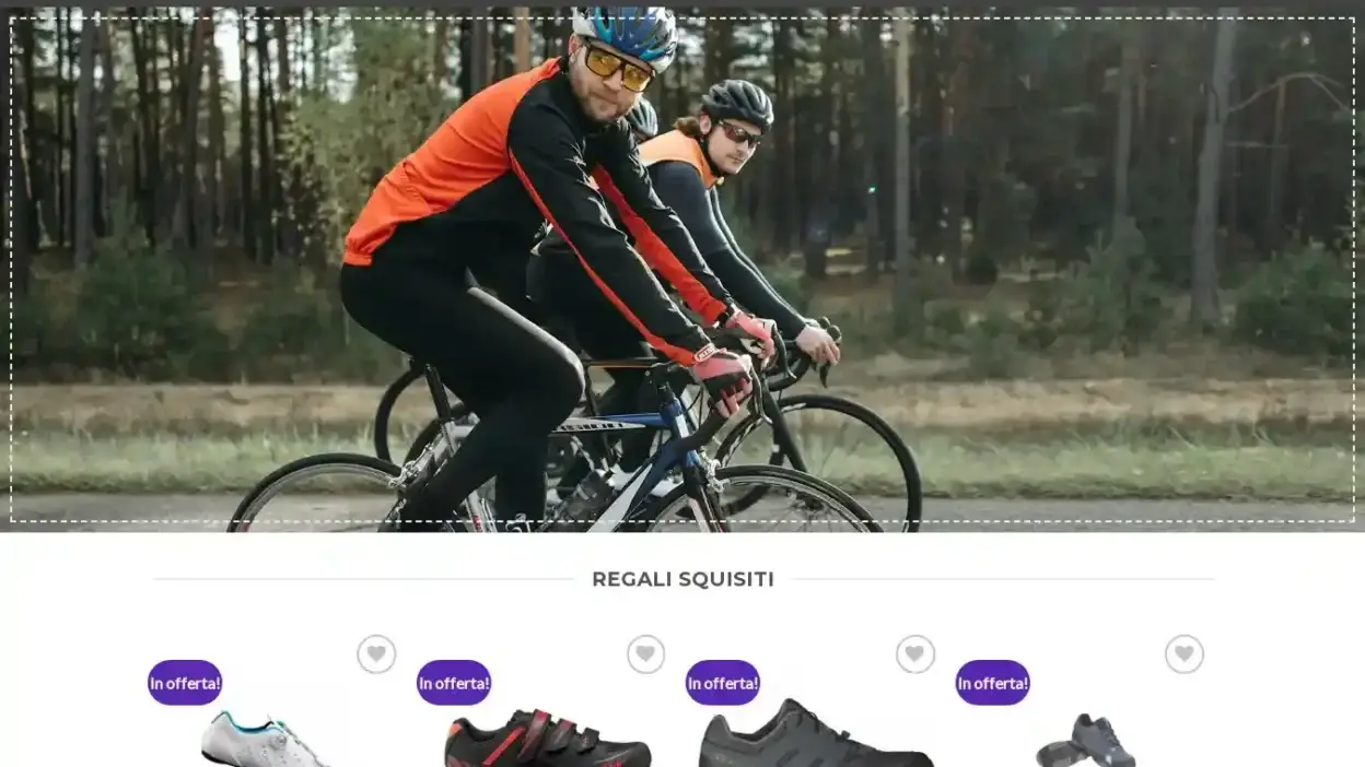 Screenshot of Non-Delivery scam website Economicobici.com
