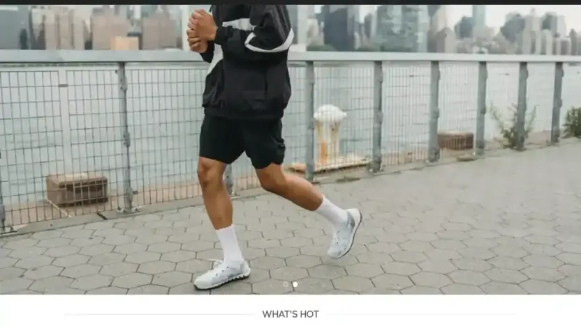 Screenshot of Fashion scam website Efwearstylish.com