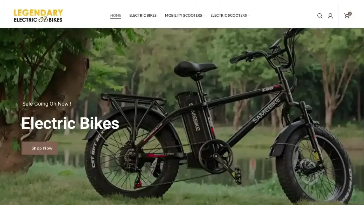 Screenshot of Sport scam website Electricsbikeusa.com