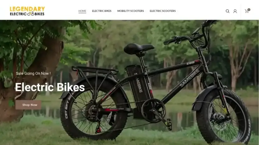 Screenshot of Sport scam website Electricsbikeusa.com