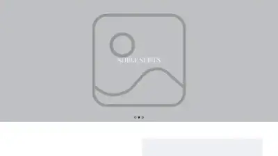 Screenshot of Non-Delivery scam website Elegantaccents.top