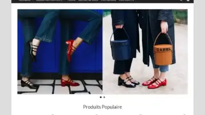 Screenshot of Non-Delivery scam website Emilemartin.com