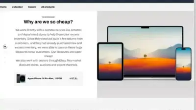 Screenshot of Non-Delivery scam website Emilymarket.shop