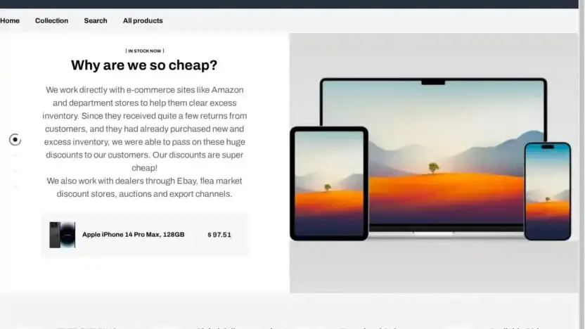 Screenshot of Non-Delivery scam website Emilymarket.shop