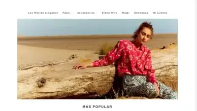 Screenshot of Non-Delivery scam website Erickasmith.com