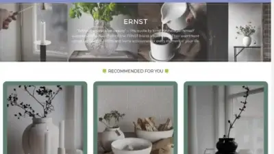 Screenshot of Non-Delivery scam website Ernstshop.com