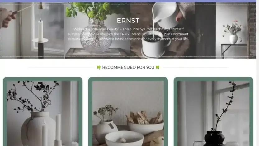 Screenshot of Non-Delivery scam website Ernstshop.com