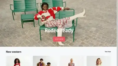 Screenshot of Non-Delivery scam website Essentielvip.shop