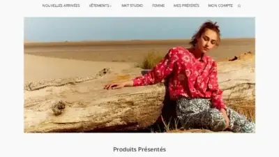 Screenshot of Non-Delivery scam website Evanaklea.com