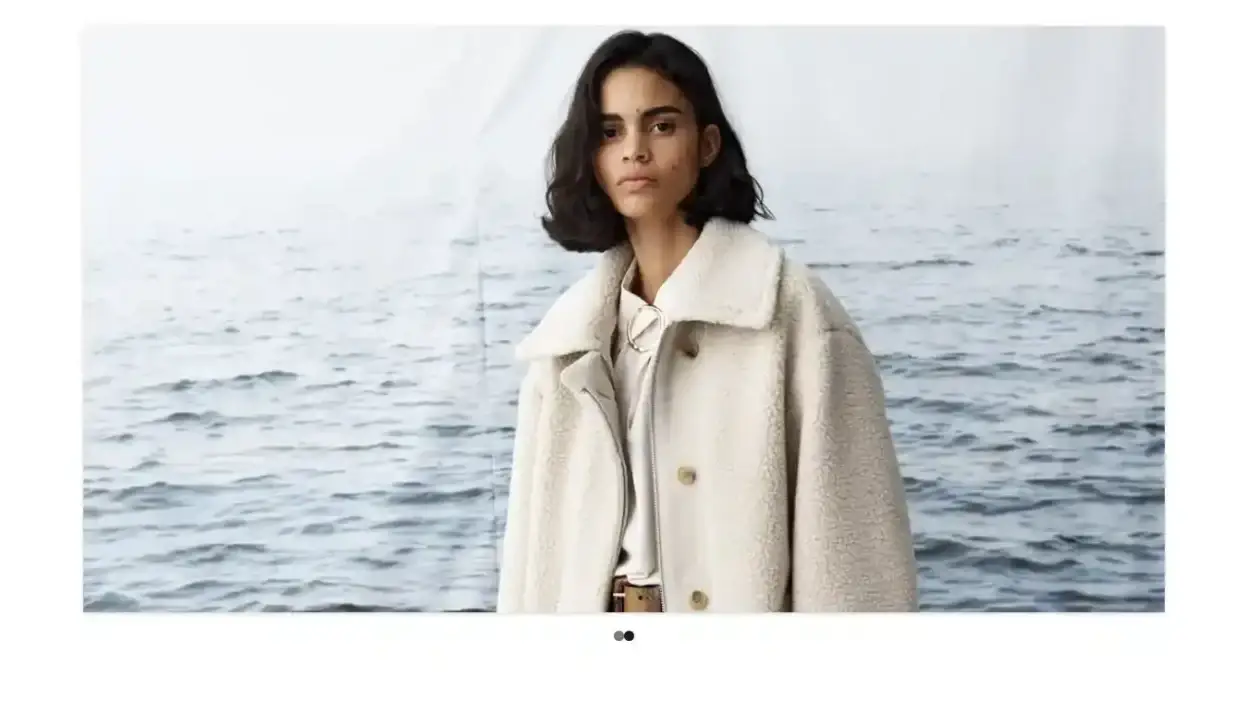 Screenshot of Non-Delivery scam website Evastamatova.com