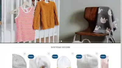 Screenshot of Non-Delivery scam website Eveilsauthon.com