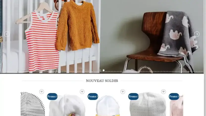 Screenshot of Non-Delivery scam website Eveilsauthon.com
