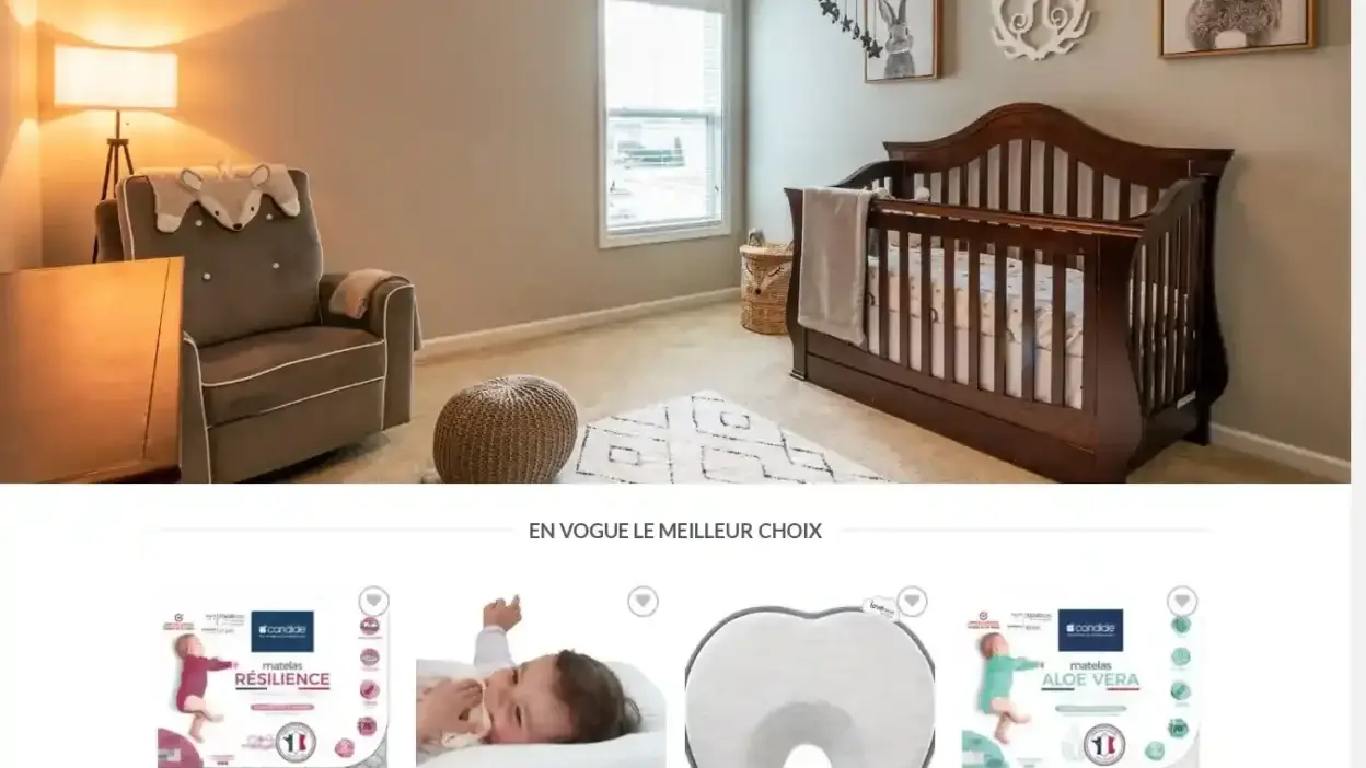 Screenshot of Non-Delivery scam website Expertbebe.com