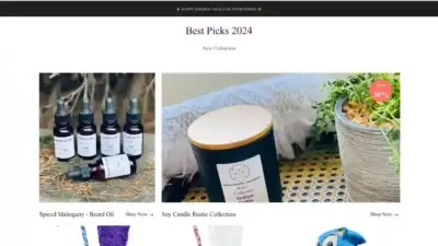 Screenshot of Non-Delivery scam website Expressmall1994.shop