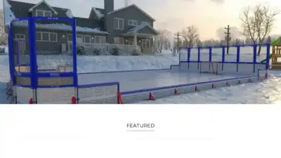 Screenshot of Non-Delivery scam website Ezicerinks.shop