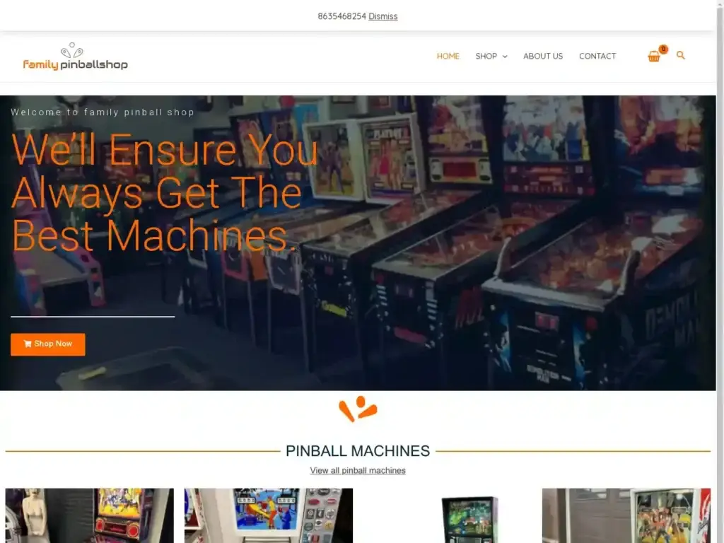 familypinballshop-com Alternative Text