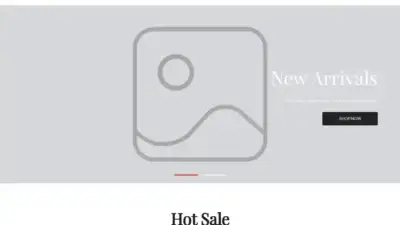 Screenshot of Non-Delivery scam website Fanaticsnorthus.shop