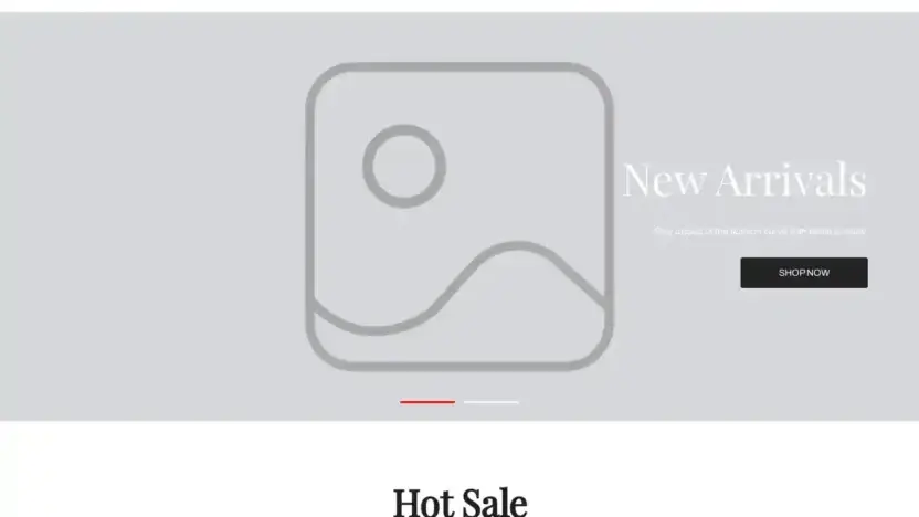 Screenshot of Non-Delivery scam website Fanaticsnorthus.shop