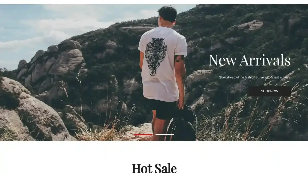 Screenshot of Non-Delivery scam website Fanaticsworlds.com