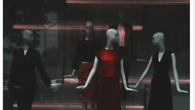 Screenshot of Non-Delivery scam website Fashion-clothingstore.com