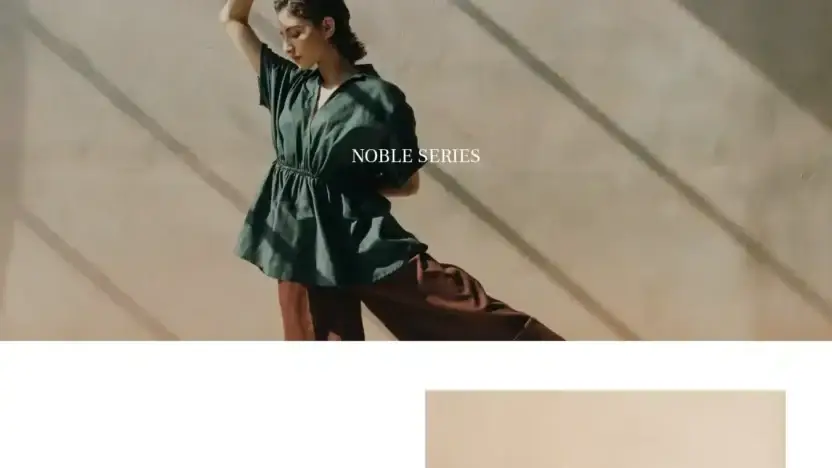 Screenshot of Non-Delivery scam website Fashionwe.store