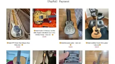 Screenshot of Non-Delivery scam website Fianese.shop