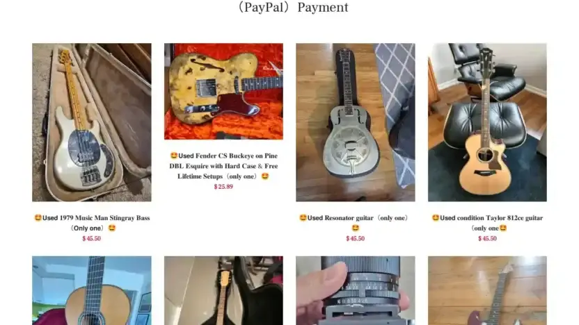 Screenshot of Non-Delivery scam website Fianese.shop