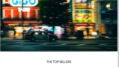 Screenshot of Non-Delivery scam website Findbestcarequip.com