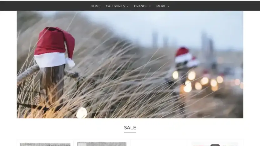 Screenshot of Non-Delivery scam website Firesidestitchery.shop