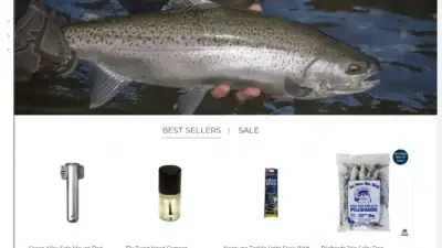 Screenshot of Non-Delivery scam website Fishcityhamiltontop.shop