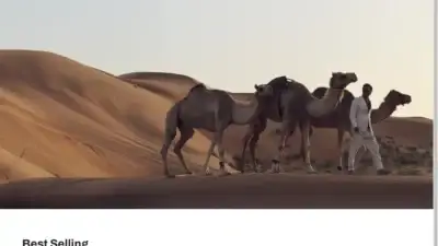 Screenshot of Non-Delivery scam website Florisvanbommel-sale.shop