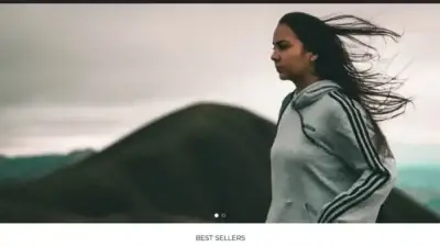 Screenshot of Sport scam website Football-perfect.com