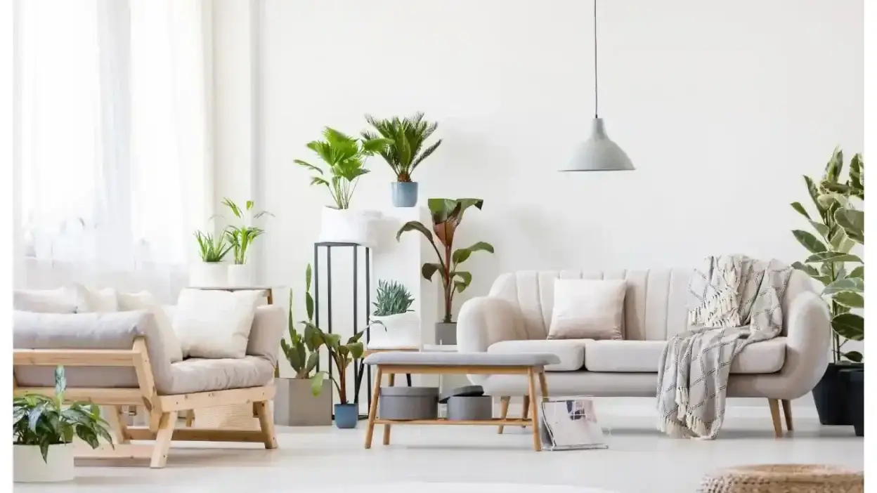 Screenshot of Non-Delivery scam website Forcefurniture.com